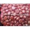 Best quality Chestnuts