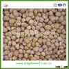 Hebei hot sale organic frozen peeled chestnut 80-90pcs/kg