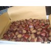 fresh chestnut/dried chestnuts/packaged chestnuts/New crop chestnut price/Chestnut from China/Wholes