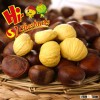 Organic kuancheng Fresh chestnut--New Crop Chestnut