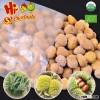 Frozen Peeled Chestnuts-Best chestnuts Quality--Whole sale chestnuts Price
