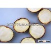 wholesale chestnut from china fresh and big