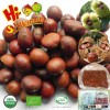 Wholesale frozen roasted chestnuts in shell for sale