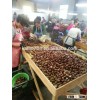 dandong kaili Chinese chestnuts big size