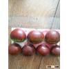 sweety chinese chestnuts