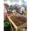 dandong kaili foodstuff chestnuts big size