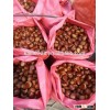 dandong chestnuts jinhua species