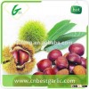 Organic chestnut price per kg