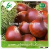 2015 new crop fresh chestnut from Shandong province