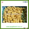 Hebei hot sale frozen peeled chestnut 90-100pcs/kg
