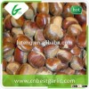 Fresh sweet chestnut for sale