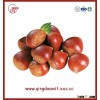 shandong hot sale healthy frozen peeled chestnut 120-150pcs/kg