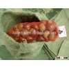 China fresh chestnut cashew nuts fob price