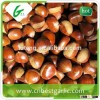 Dried fresh organic chestnuts