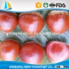 high quality top quality fresh chinese chestnut