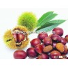 2015 good and sweet chestnut from hebei province