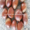 EU Standard fresh chestnuts wholesale