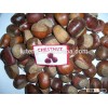 2015 new crop easy peeled fresh chestnut from Taian