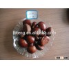 New crop chestnut health food with factory price