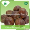 Fresh sweet chestnut 30-40