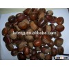 Chinese chestnut price per kg for sale supplier from Shandong