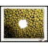 HOT SALE 2012 Green Mung Bean FOR Sprouts
