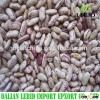 2015 Light Speckled Kidney Beans Long Shape Size 220-240 Grains/100G