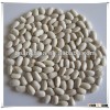 2013 Crop,White Kidney Beans Square Type,New Arrival