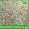 2015Crop Chinese green Lentils Gansu origin top quality