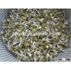 superior Quality Green Mung Bean for Sprouting Use