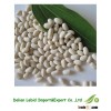 White Kidney Beans Products Price For Sale 2013 Crop