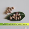 Wholesale Pinto Beans or Sugar Beans, Huanan Origin