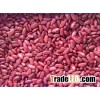 Dark red Kidney Beans(long shaped)/ Light Red Kidney Beans
