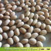 Chinese organic small white kidney beans navy beans