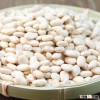 high quality natural product organic kidney beans for sale