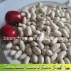 Dry Chinese Organic White Kidney Beans/ Spanish Beans