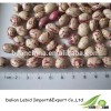 2014 Round Shape Light Speckled Kidney Beans With Low Price