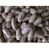 2014 Light Speckled Kidney Beans from China