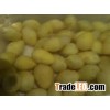 Blanched gingko nuts