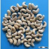 VIETNAM CASHEW NUTS/ CASHEW KERNELS WW240/ WW320/ WW450/ WS/ LP/ SP
