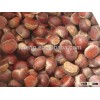 New crop raw chestnuts for sale with good quality