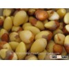 Best Quality Ginkgo Nuts, Frozen Ginkgo Frozen White Nuts For Sale