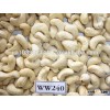 CANADA ORIGIN RAW CASHEW NUTS WITHOUT SHELL CROP YEAR 2015