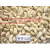 CASHEW NUT W320