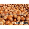 hazelnuts for sale