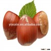 100% organic and natural Hazelnuts China raw Hazelnuts