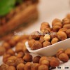 Grade A Best Price Raw Hazelnut