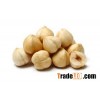 roasted hazelnut blanched without shell