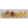 Peeled Ginkgo Nuts