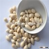 Bai Guo Quality Processed dried Ginkgo and Dry Nuts